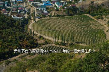 貴州茅臺(tái)的原漿酒500ml5215年的一瓶大概在多少