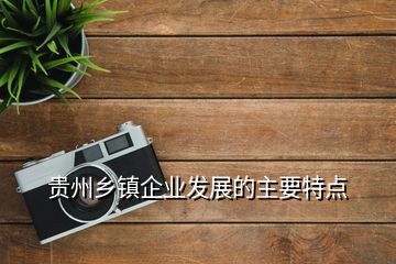 貴州鄉(xiāng)鎮(zhèn)企業(yè)發(fā)展的主要特點(diǎn)