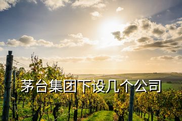 茅臺集團下設幾個公司