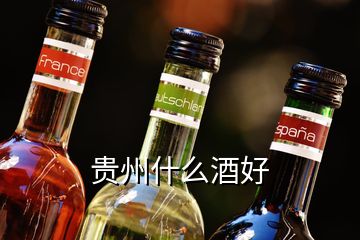 貴州什么酒好