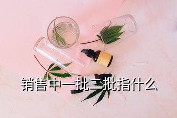 銷售中一批二批指什么