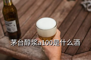 茅臺(tái)醇漿a100是什么酒