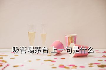 吸管喝茅臺(tái) 上一句是什么