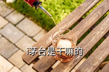 i茅臺是干嘛的