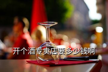 開個(gè)酒專賣店要多少錢啊