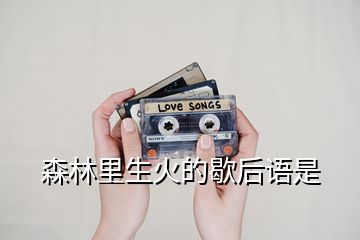 森林里生火的歇后語是