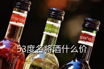 53度名將酒什么價(jià)