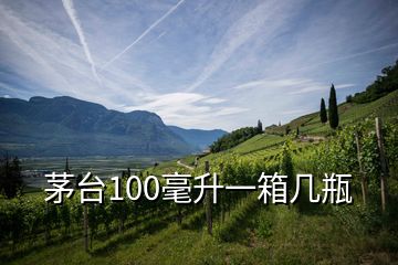 茅臺100毫升一箱幾瓶