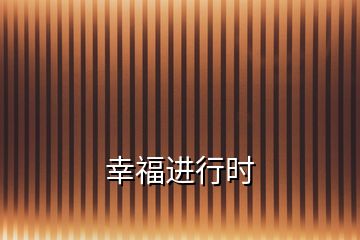 幸福進(jìn)行時(shí)