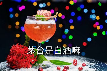 茅臺(tái)是白酒嘛