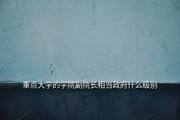 重點(diǎn)大學(xué)的學(xué)院副院長相當(dāng)政府什么級別