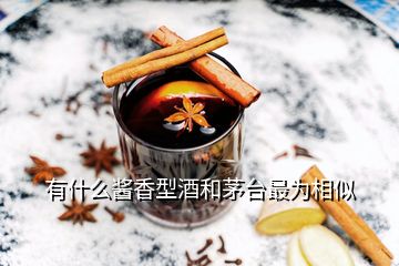 有什么醬香型酒和茅臺(tái)最為相似