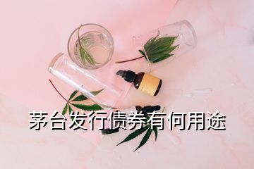 茅臺發(fā)行債券有何用途