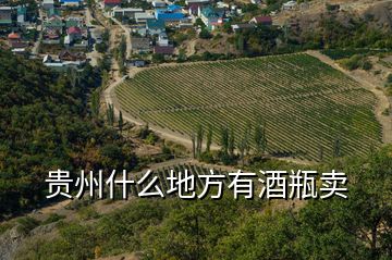 貴州什么地方有酒瓶賣(mài)