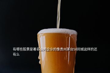 有哪些股票是著名公司企業(yè)的像貴州茅臺58同城這樣的還有么