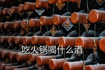 吃火鍋喝什么酒