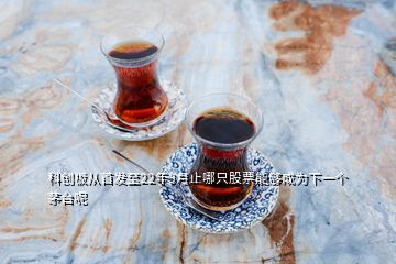 科創(chuàng)板從首發(fā)至22年3月止哪只股票能夠成為下一個(gè)茅臺(tái)呢