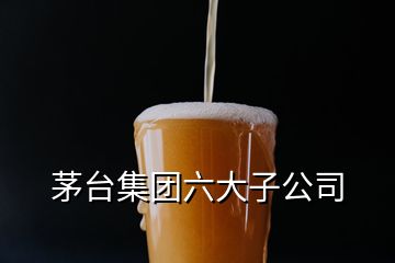 茅臺集團六大子公司