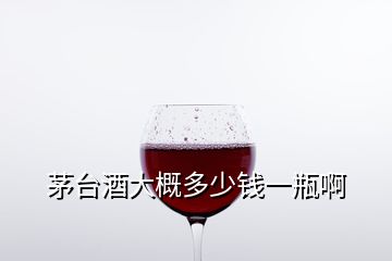 茅臺(tái)酒大概多少錢(qián)一瓶啊