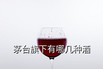 茅臺(tái)旗下有哪幾種酒