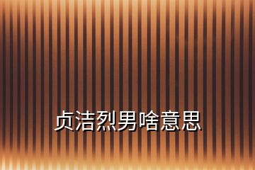 貞潔烈男啥意思