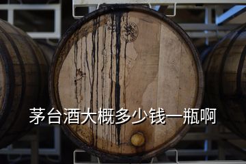 茅臺(tái)酒大概多少錢(qián)一瓶啊