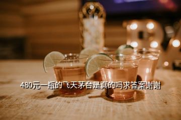 480元一瓶的飛天茅臺是真的嗎求答案謝謝