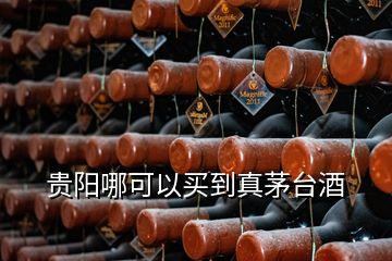 貴陽哪可以買到真茅臺(tái)酒