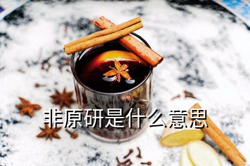 非原研是什么意思