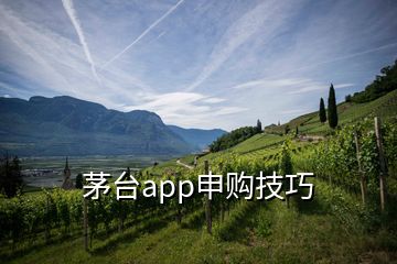 茅臺app申購技巧