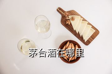 茅臺酒在哪里