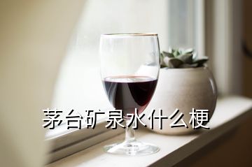 茅臺(tái)礦泉水什么梗