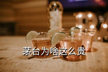 茅臺(tái)為啥這么貴