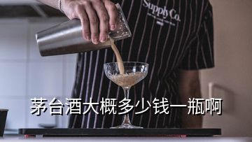 茅臺酒大概多少錢一瓶啊