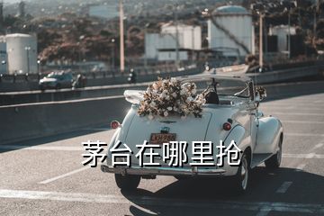 茅臺在哪里搶