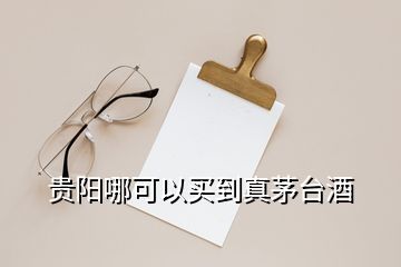 貴陽(yáng)哪可以買(mǎi)到真茅臺(tái)酒