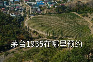 茅臺1935在哪里預約