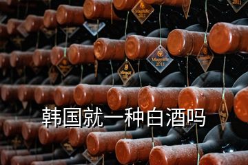 韓國就一種白酒嗎