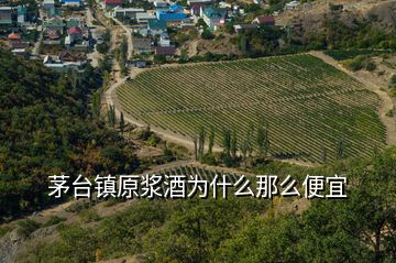 茅臺(tái)鎮(zhèn)原漿酒為什么那么便宜