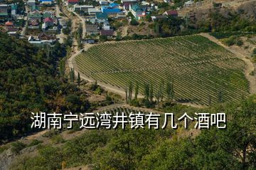 湖南寧遠灣井鎮(zhèn)有幾個酒吧