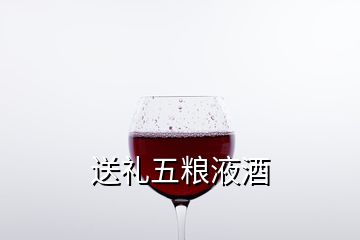 送禮五糧液酒