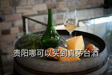 貴陽哪可以買到真茅臺(tái)酒