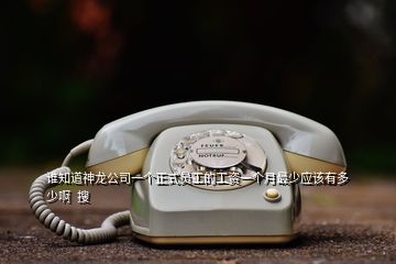 誰知道神龍公司一個正式員工的工資一個月最少應(yīng)該有多少啊  搜