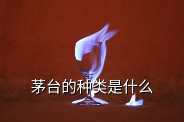 茅臺(tái)的種類是什么