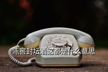 陳窖封壇酒這都是什么意思