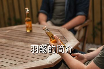 羽觴的簡介