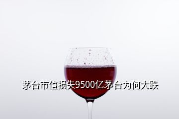 茅臺(tái)市值損失9500億茅臺(tái)為何大跌