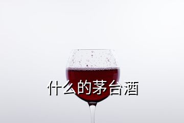 什么的茅臺(tái)酒