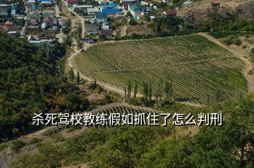 殺死駕校教練假如抓住了怎么判刑