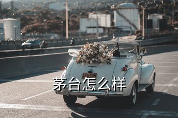 茅臺(tái)怎么樣